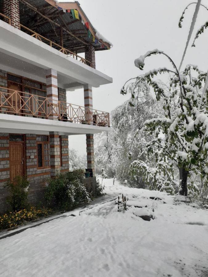 Doghari Homes Manali (Himachal Pradesh) Exterior photo